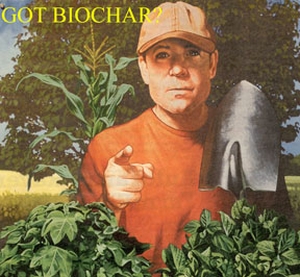Description of the biochar field trial photo