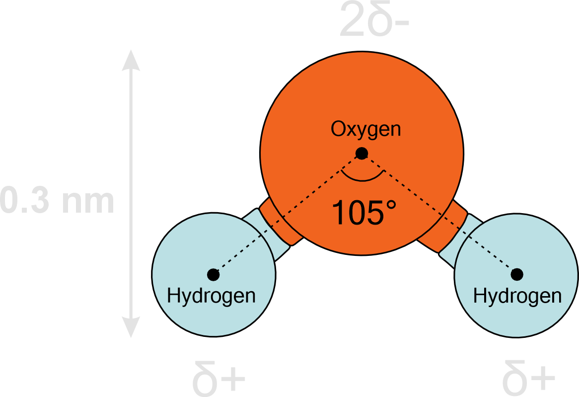 Single water molecule diagram showing bond angle and partial charges