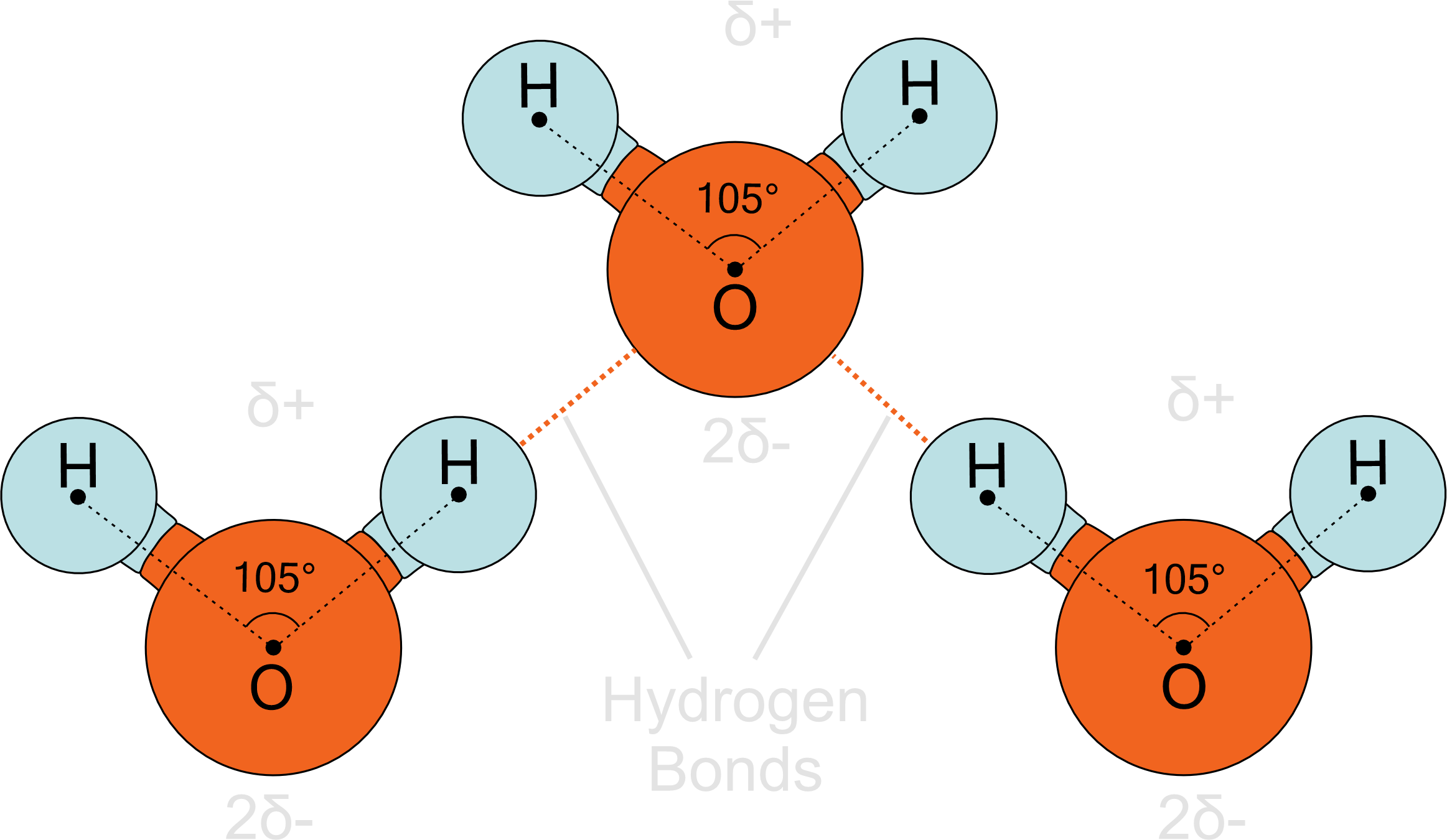 Three water molecules showing hydrogen bonds