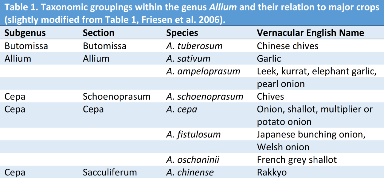 Table 1: Taxonomic groupings within the genus Allium