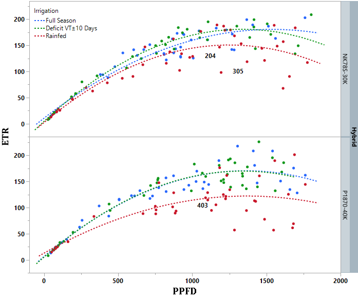 Figure 7: Relationship between PPFD and electron transport rate of Photosystem II in two maize hybrids