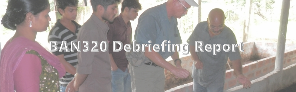 BAN320 End of Assignment Debriefing Report