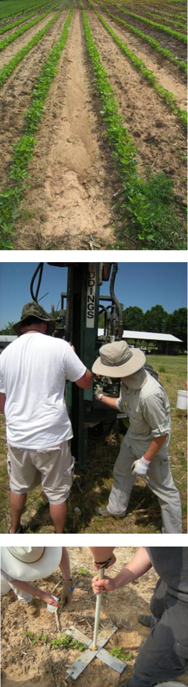 Soybean tillage trial Piedmont NC