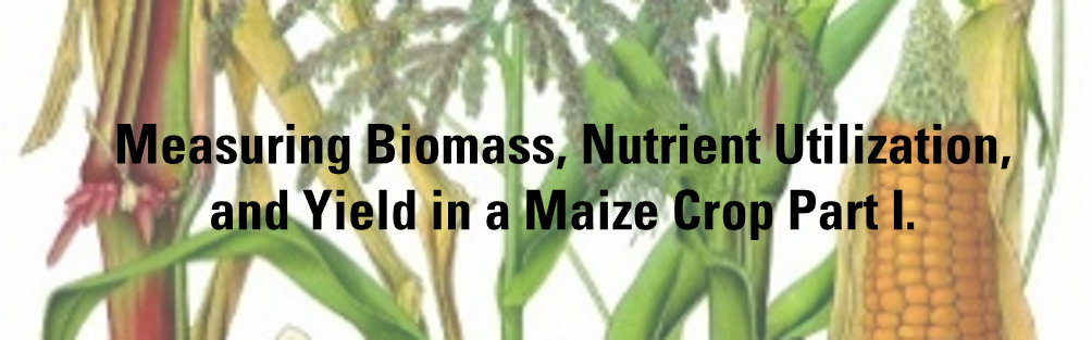 Measuring Biomass Nutrient Utilization and Yield of a Maize Crop Part I