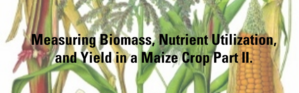 Measuring Biomass Nutrient Utilization and Yield of a Maize Crop Part II