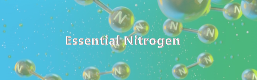 Essential Nitrogen
