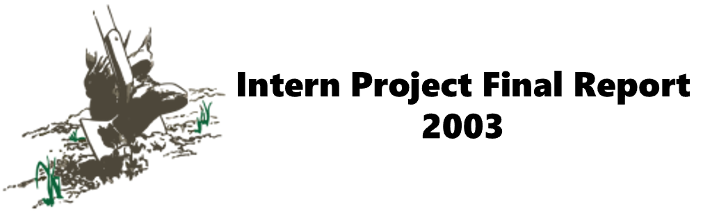 Intern Project 2003