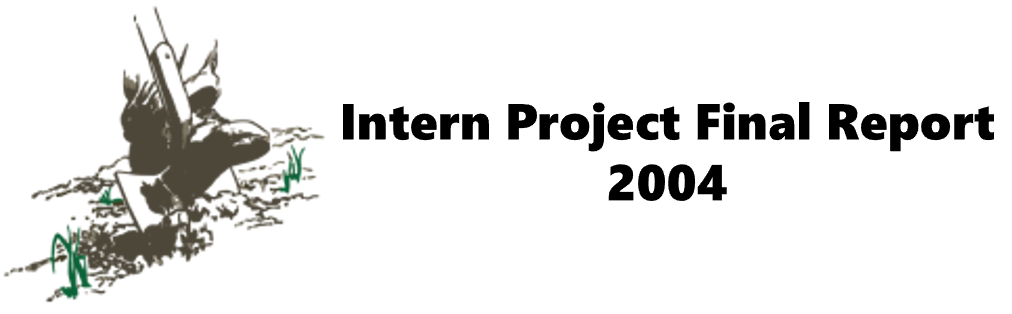 Intern Project 2004
