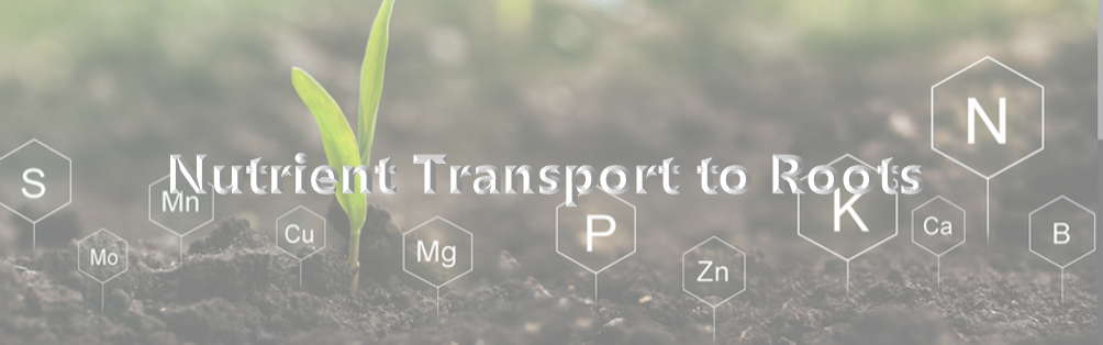 Nutrient Transport to Roots