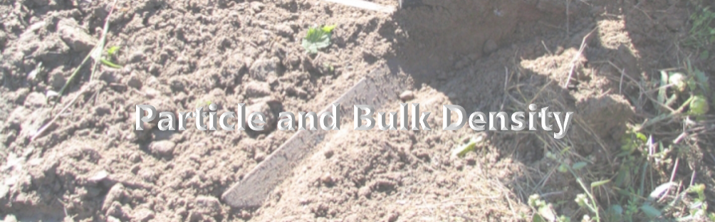Particle and Bulk Density
