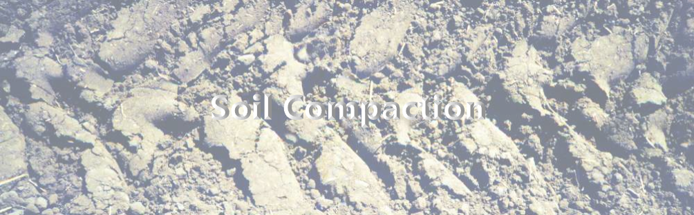 Soil Compaction