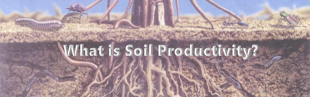 Soil Productivity